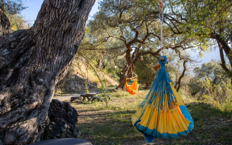 Swing hammocks and semiwild gardens